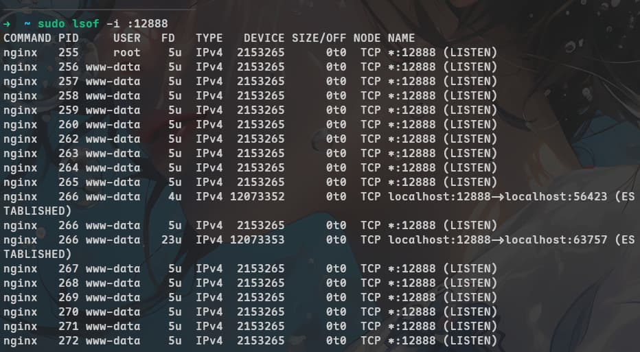 PixPin_2025-08-18_10-02-10