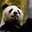 weixin_42540325